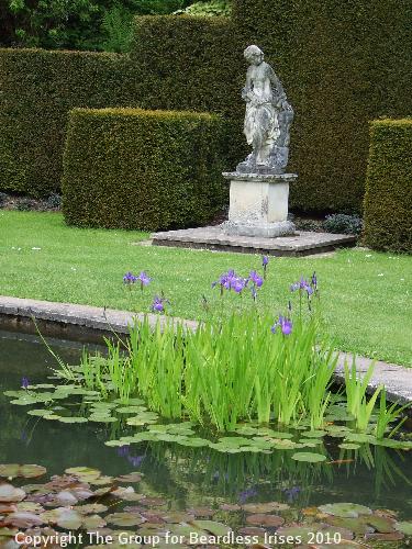 Knightshayes (13)